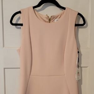 Calvin Klein sz 10 blush dress